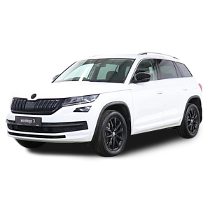 KODIAQ I (2016-2022) дорестайлинг