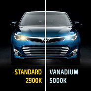Галогенные лампы MTF H1 VANADIUM 5000K (2 шт)