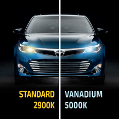 Галогенные лампы MTF H1 VANADIUM 5000K (2 шт)