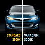 Галогенные лампы MTF H7 VANADIUM 5000K (2 шт) Галогенные лампы MTF H7 VANADIUM 5000K (2 шт) по выгодной цене