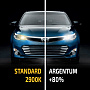 Галогенные лампы MTF H4 ARGENTUM +80% 4000K (2 шт) H8A1204 Галогенные лампы MTF H4 ARGENTUM +80% 4000K (2 шт) H8A1204 по выгодной цене